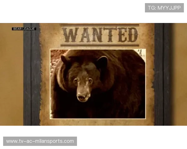 黑熊袭城警示录：人类边界意识该醒了，黑熊袭击人类视频